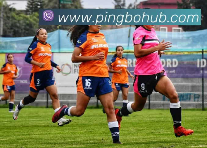 平博体育APP 封面图