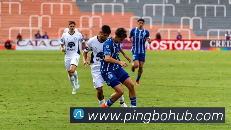 数据防护可视化